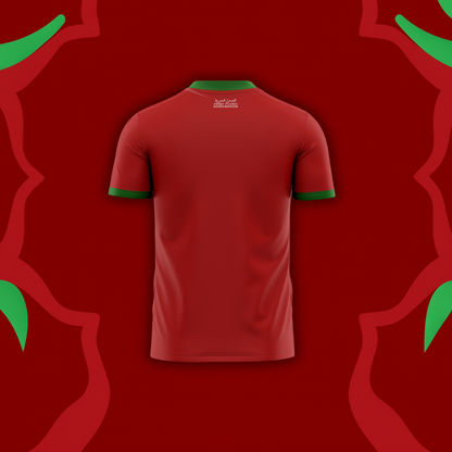 SAHARA MAROCAIN - CAN2025